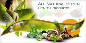 Kontak Distributor Utama dan Agen Resmi Herbal Pak Luluk