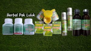 terapi herbal hidup sehat